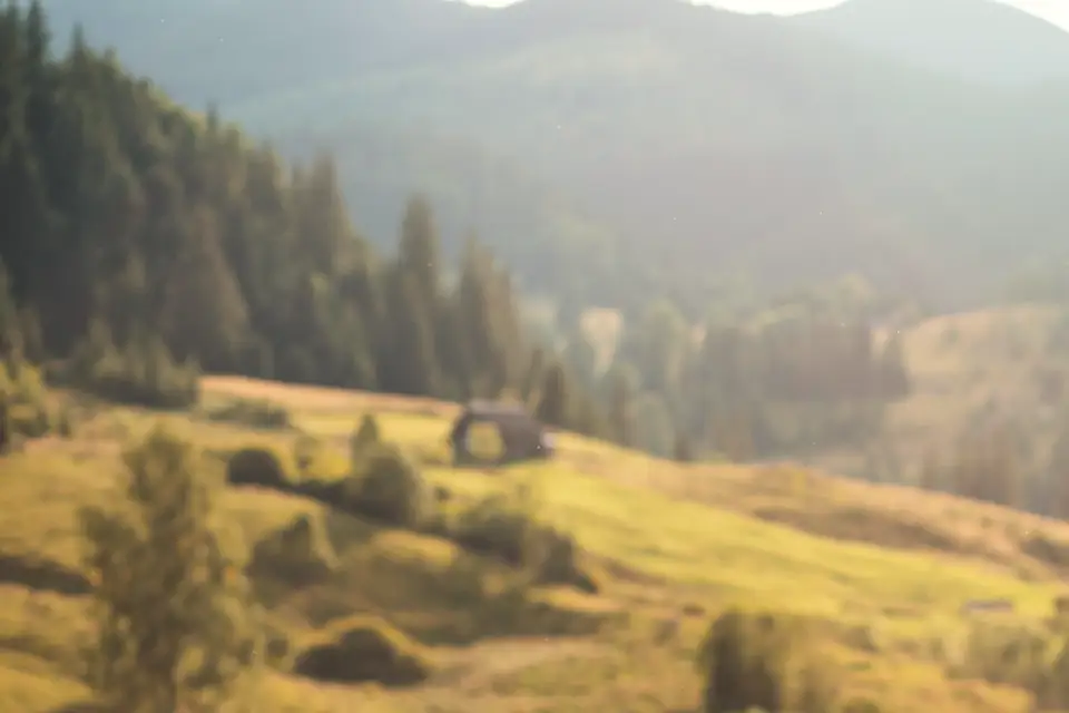 Bewaldeter Hang mit Wiesenterrassen und einer einzelnen Hütte im Gegenlicht
